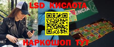 a pvp Жуковский