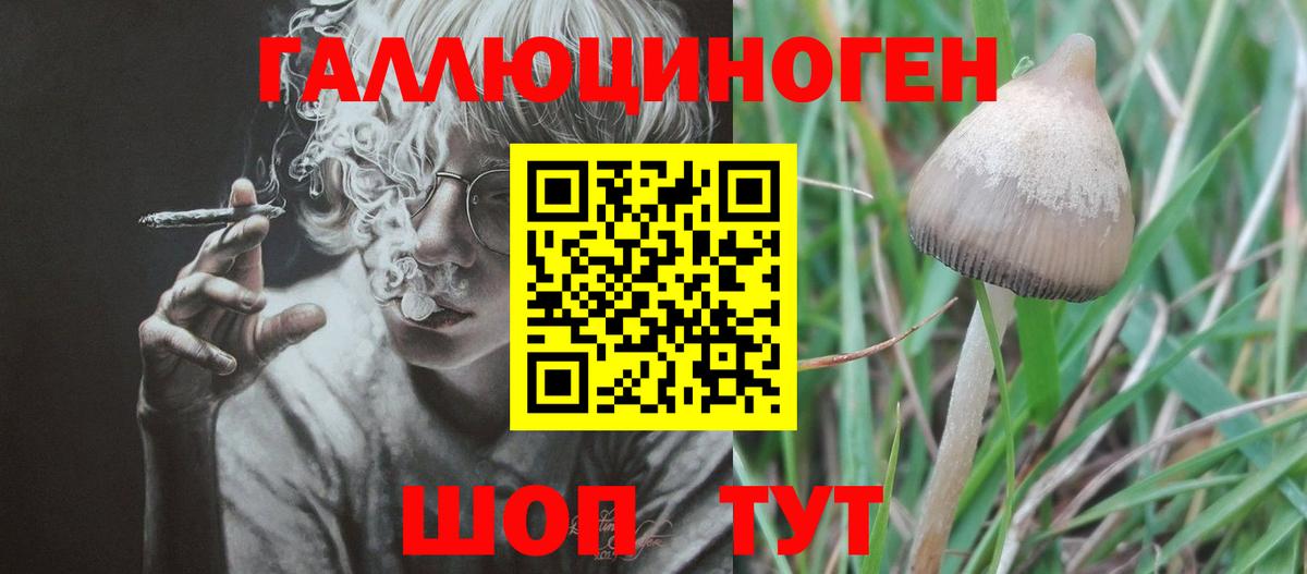Псилоцибиновые грибы мицелий  Вход с VPN  Шали 
